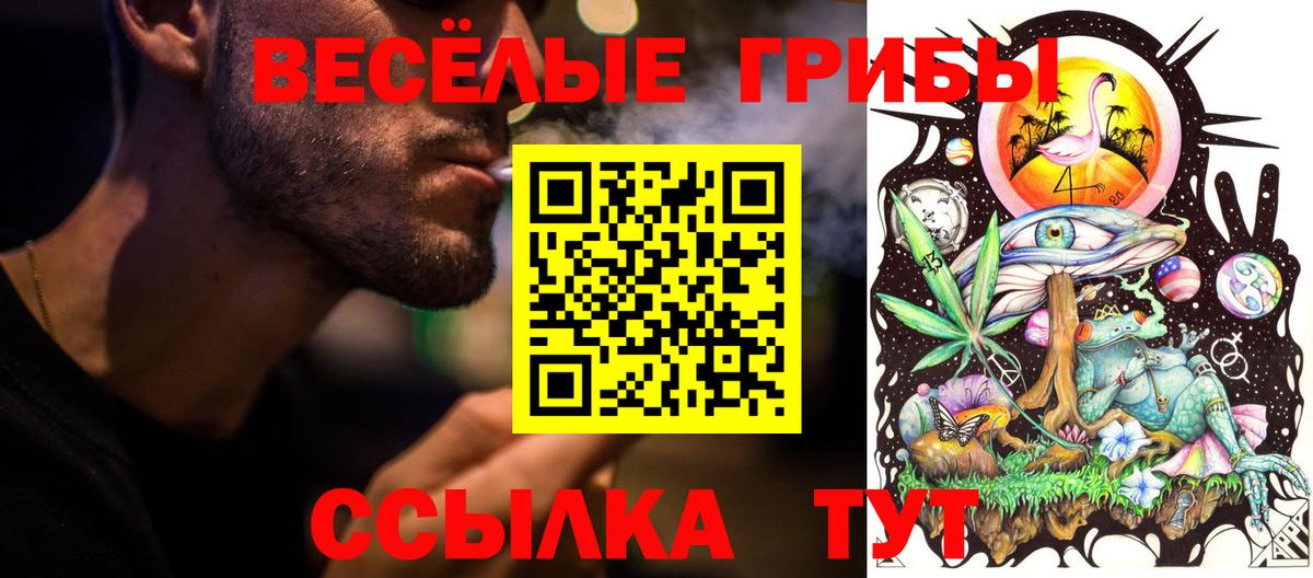 Трёхгорный  Псилоцибиновые грибы Cubensis  Вход с VPN 
